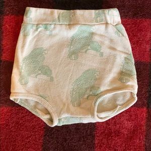 Parrot Retro bloomer